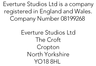 Everture Studios Ltd is a company registered in England and Wales.